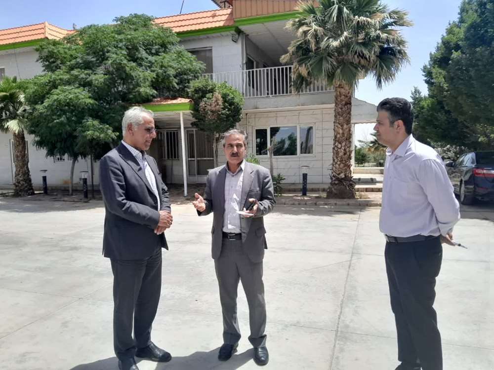 خوراک دام 